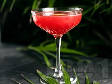 Red Mist   y   -   